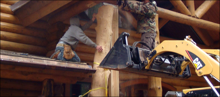 Log Home Log Replacement  Montgomery County, Kentucky